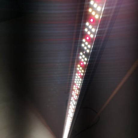 ◆ Helios Green LED シリーズ ／Helios Green LED PUPPY（パピー）