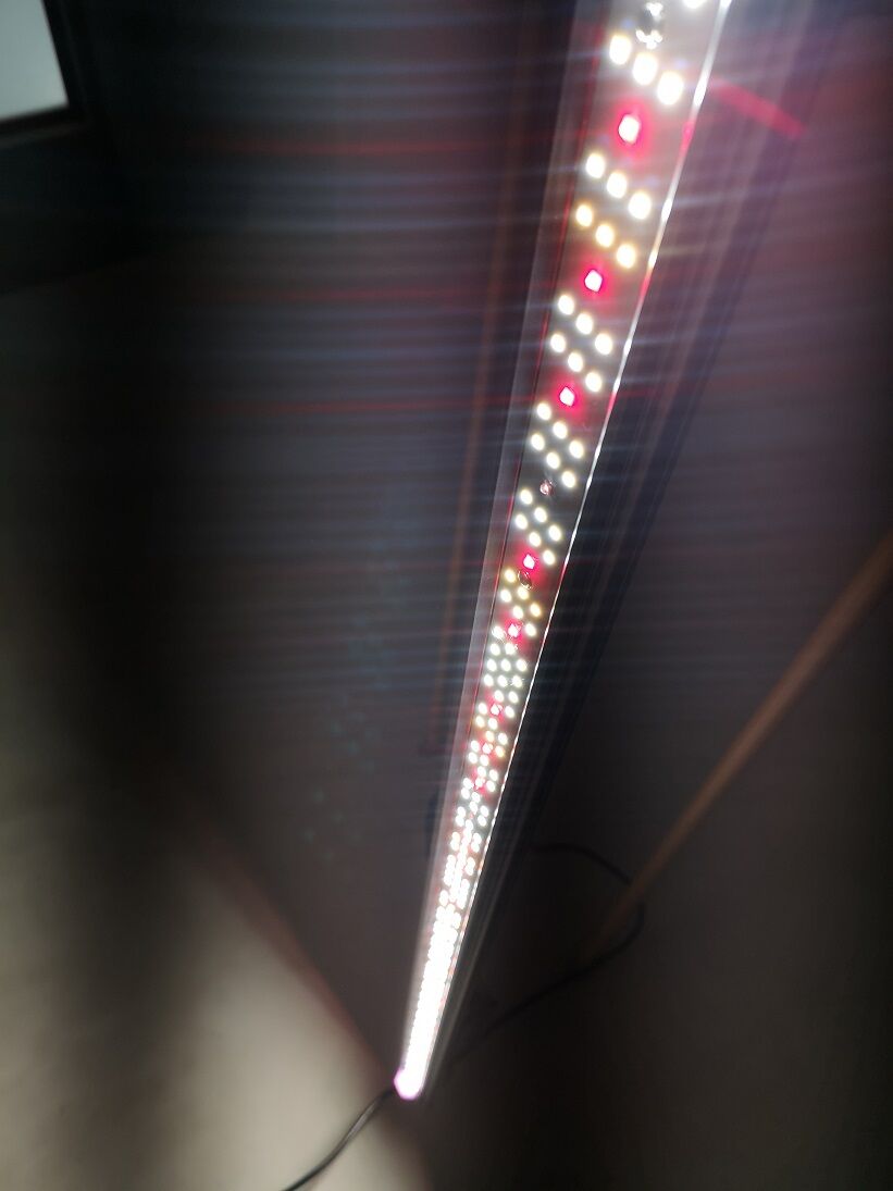 蝦江　Helios Green LED HG-PUP HELIOS ヘリオス グリーン LED 植物育成ライト / Helios Green