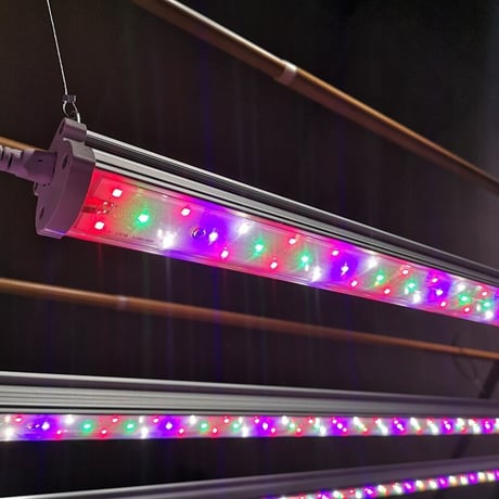 ◆ Helios Green LED  シリーズ／HG-SPR：Helios Green LED SPROUT（スプラウト）