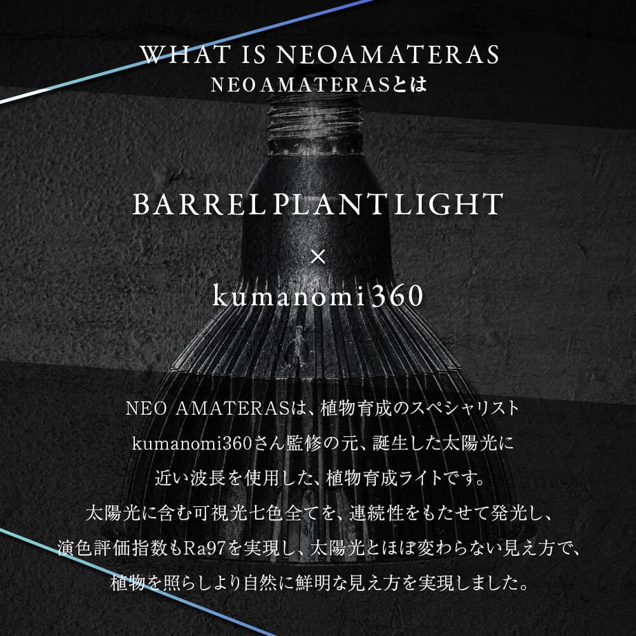 5e2839c6c78a534206e832b3