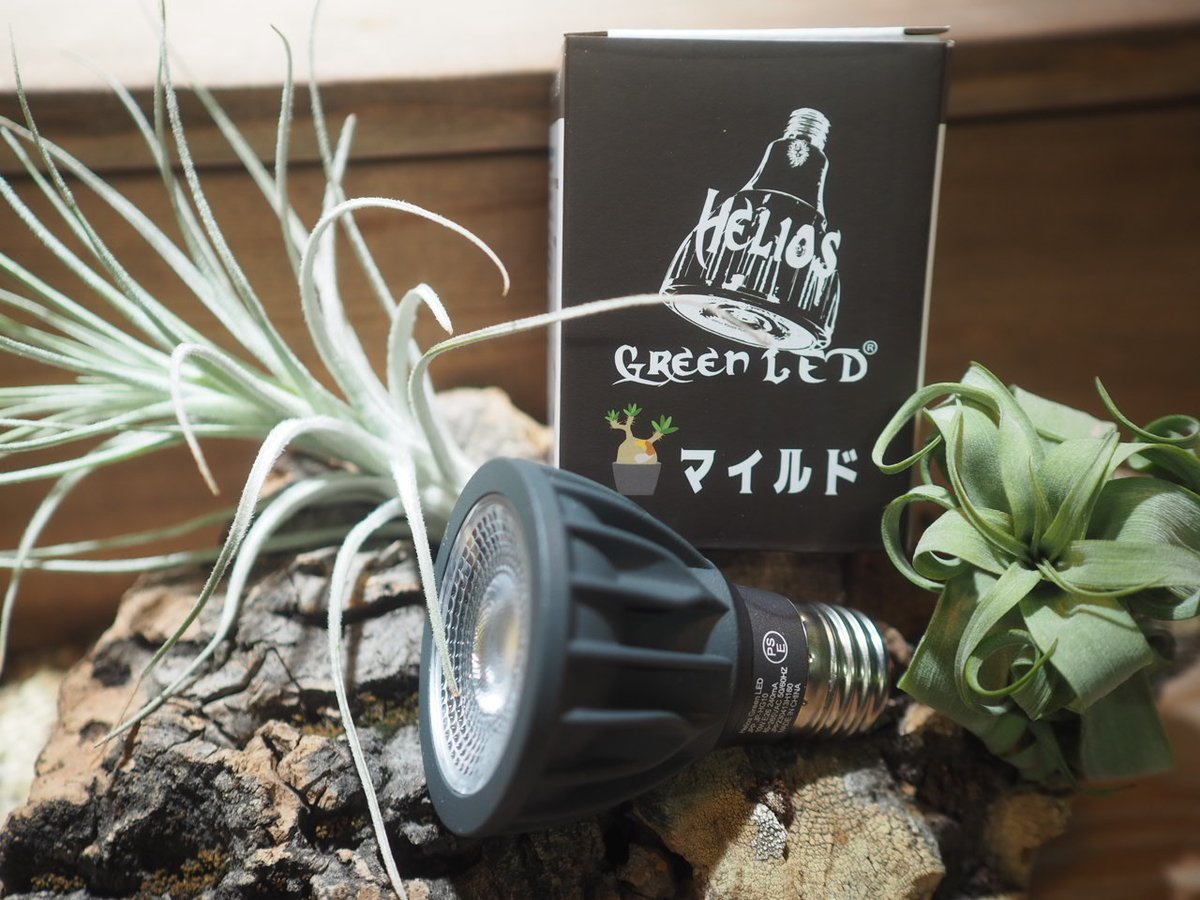 やまゆです! ヘリオスグリーン LED マイルド 3個 やまゆです! ヘリオスグリーン LED マイルド 3個 Helios