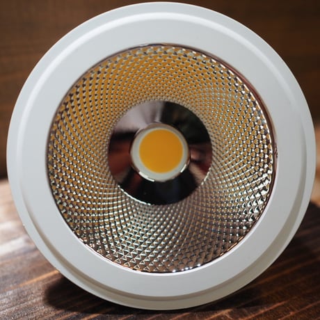 ◆ TSUKUYOMI LED-20W ／ 太陽光に近似の植物育成ライト  × 2個Set  【ツクヨミ】