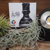 ◆ AMATERAS LED-10W ／ 太陽光に最も近い植物育成ライト  【ネオ・アマテラス】