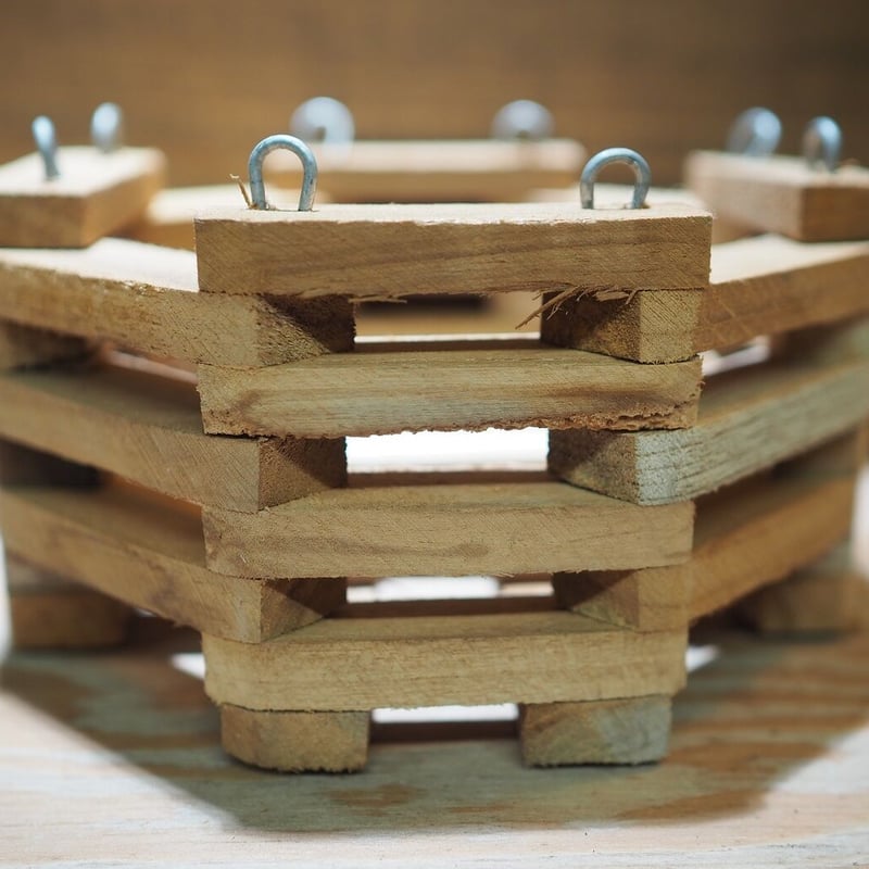 □木製-木枠鉢(八角型) S-15×15㎝ ×2個セット | 常葉植物園 Tokiwa Bot