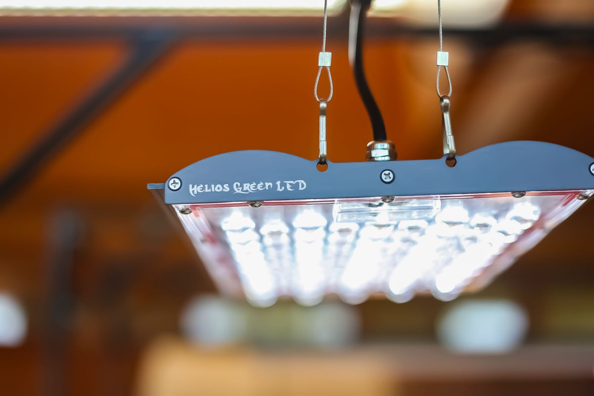 ◇ Helios Green LED PRO Booster 一式セット(101) ／ 広域照