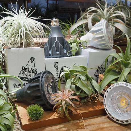 ◆ Helios Green LED HG24 ／ 超高輝度植物育成ライト 【ヘリオス】 ★広角レンズタイプ