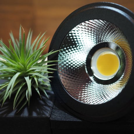 ◆ AMATERAS LED-10W ／ 太陽光に最も近い植物育成ライト  【ネオ・アマテラス】