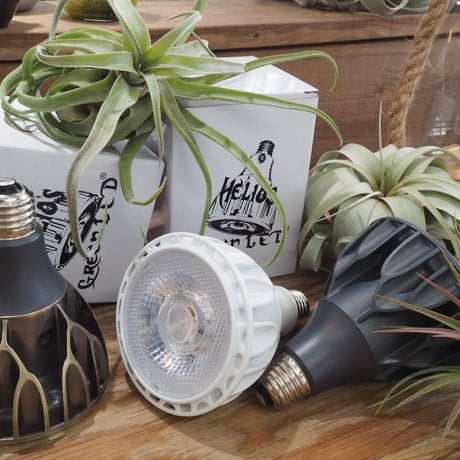 ◆ Helios Green LED HG24 ／ 超高輝度植物育成ライト 【ヘリオス】 ★広角レンズタイプ 　ヴィンテージ