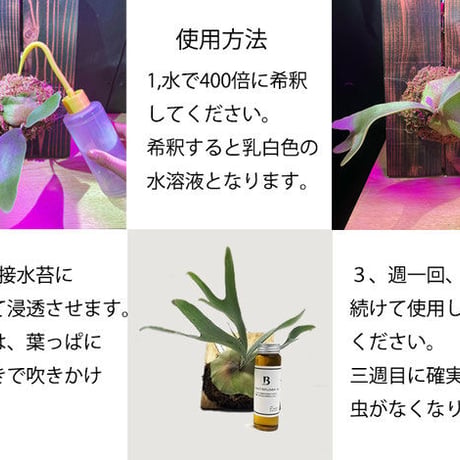 ◆ Barrier Green Oil Ⅲ　バリアグリーンオイル　害虫忌避剤 × 3本Set