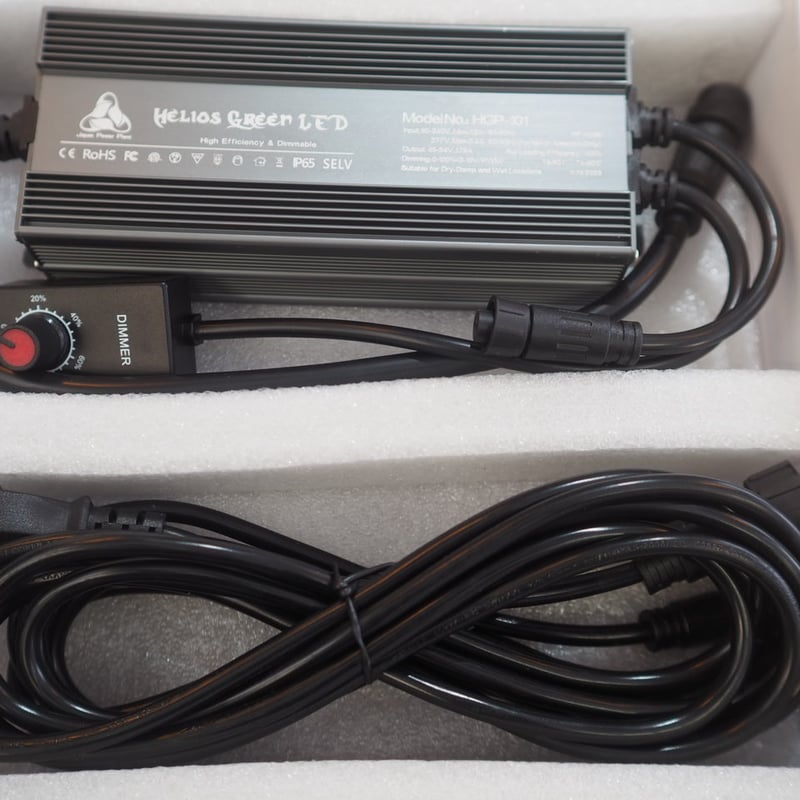 B_STYLE Helios Green LED 3個セット ソケット付き ◇ Helios Green