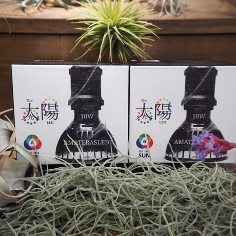 ◆ AMATERAS LED-10W ／ 太陽光に最も近い植物育成ライト  × 2個Set  【アマテラス】