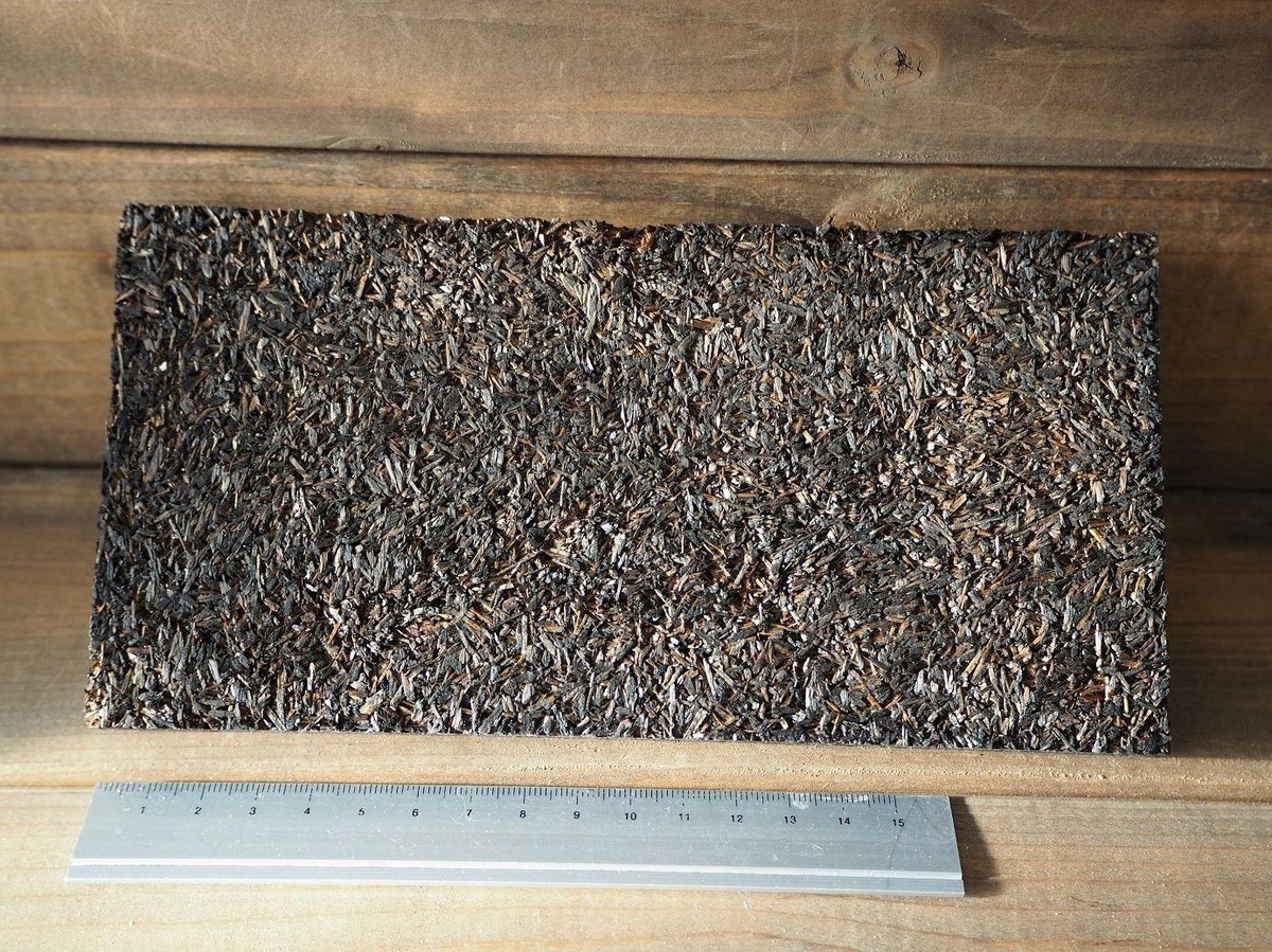 □チランジア着生用プレート (木製) L版 ×1枚 | 常葉植物園