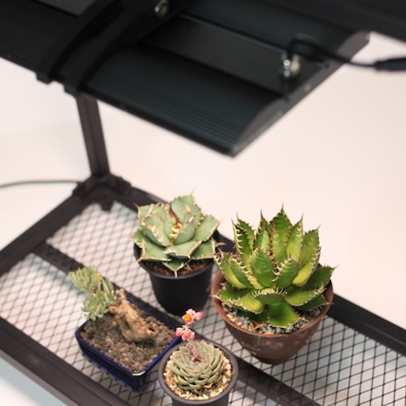 ◇Helios Green LED PRO UV 一式セット / 紫外線・近赤外線 ◇Helios Green LED PRO UV 一式セット / 紫外線・近赤外線