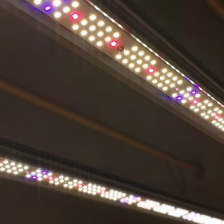 ◆ Helios Green LED シリーズ ／Helios Green LED SPESIMEN（スペシメン）