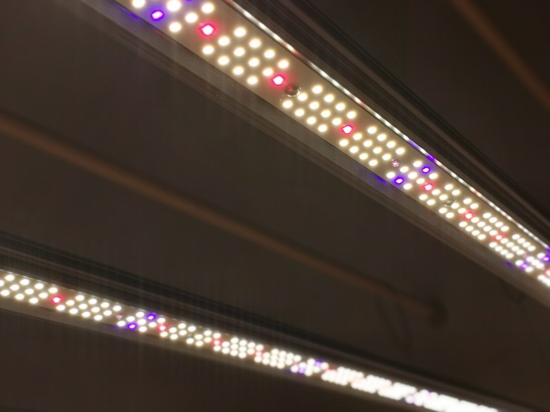 ◇ Helios Green LED シリーズ ／Helios Green LED SPESI
