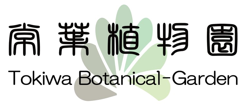 CATEGORY エアプランツ(チランジア) 希少種 | 常葉植物園 CATEGORY エアプランツ(チランジア) 希少種 | 常葉植物園