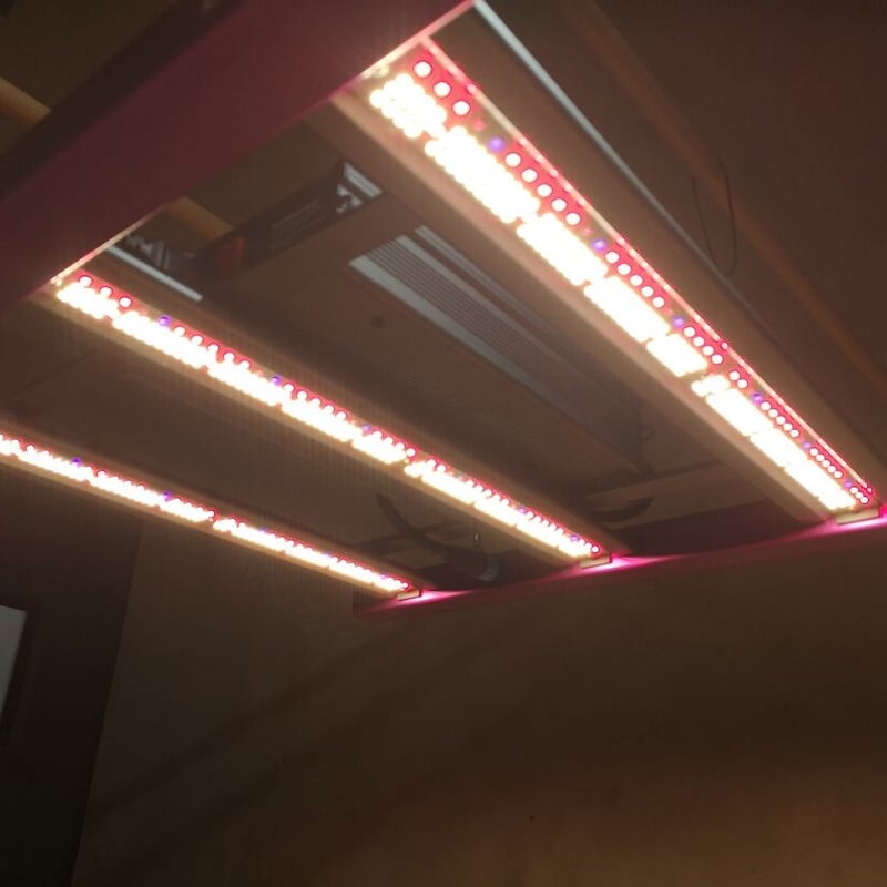 ◇ Helios Green LED シリーズ ／Helios Green LED DOPE（