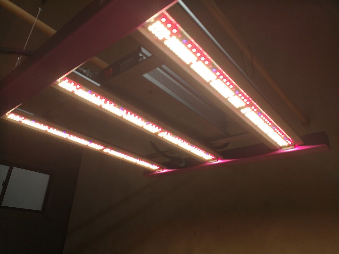 ◇ Helios Green LED シリーズ ／Helios Green LED DOPE（