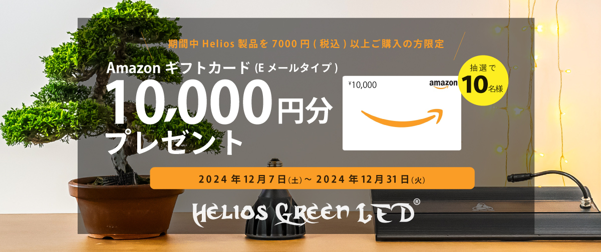Helios感謝祭キャンペーンのご案内 | 常葉植物園 Tokiwa Botanical-Ga