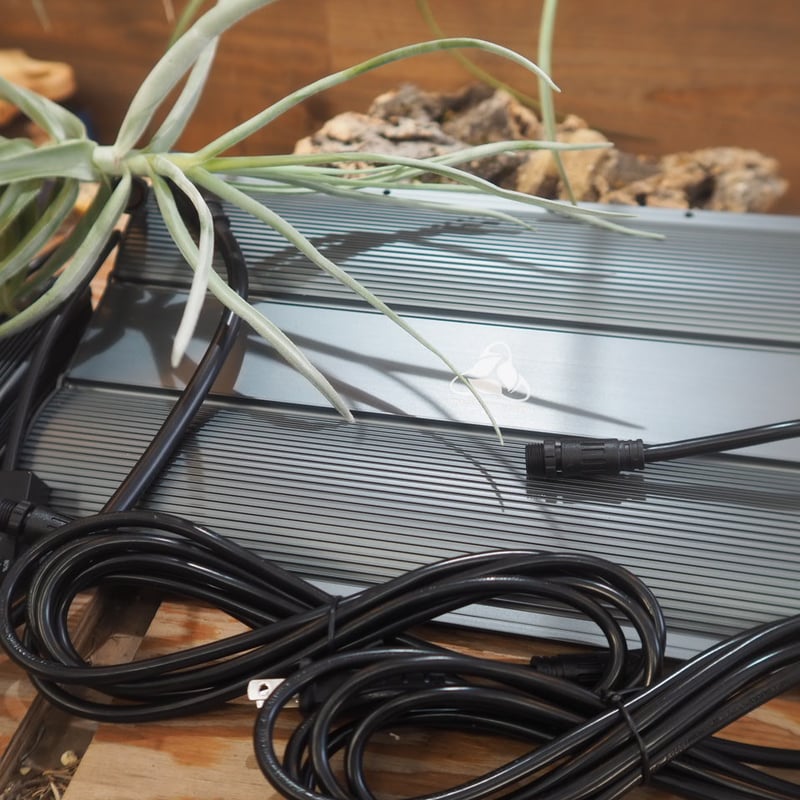 B_STYLE Helios Green LED 3個セット ソケット付き ◇ Helios Green