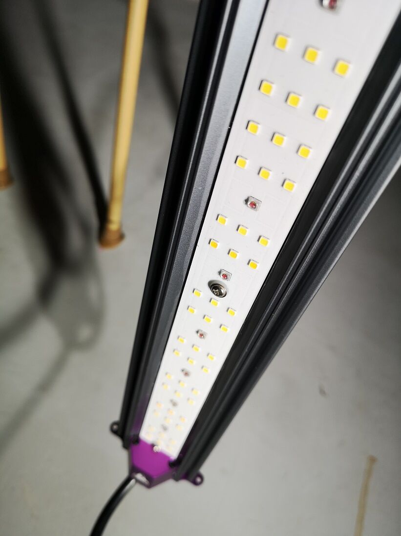 蝦江　Helios Green LED HG-PUP fit=scale-down,w=1200