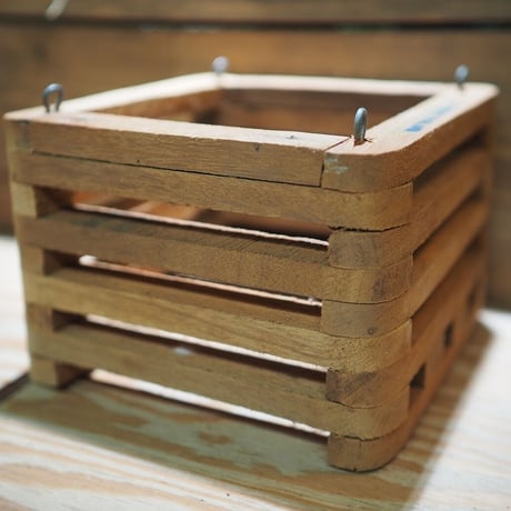 CATEGORY チランジア用資材 | 常葉植物園 Tokiwa Botanical-Gard