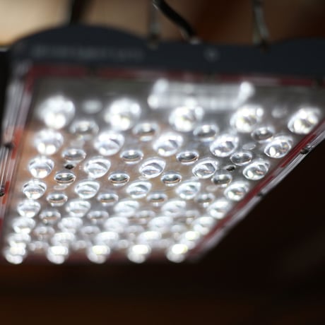 ◆ Helios Green LED PRO Booster 3枚一式セット (303)／ 広域照射植物育成ライト 【ヘリオス・プロ ブースター】