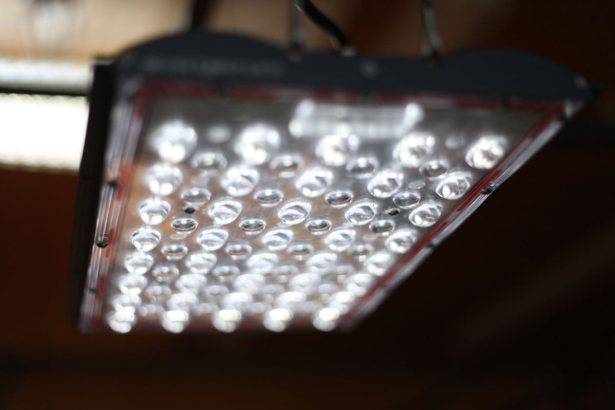 LED 植物ライトセット・ヘリオスグリーン・ブリム• ハルコ