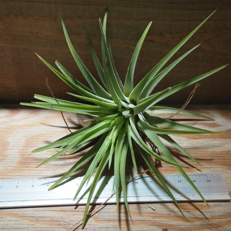 5cf69bcfc843ce726d45b34c