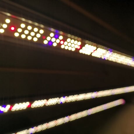 ◆ Helios Green LED シリーズ ／Helios Green LED SPESIMEN（スペシメン）