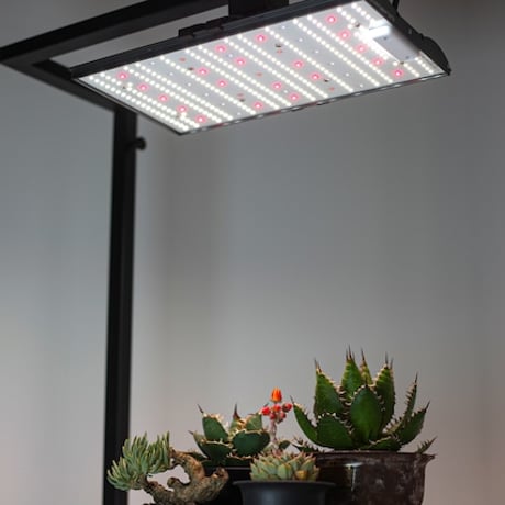◆Helios Green LED PRO UV 一式セット ／ 紫外線・近赤外線チップ搭載 【ヘリオス・プロ ＵＶ】