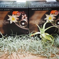 ◇ Helios Green LED シリーズ ／Helios Green LED SPESI