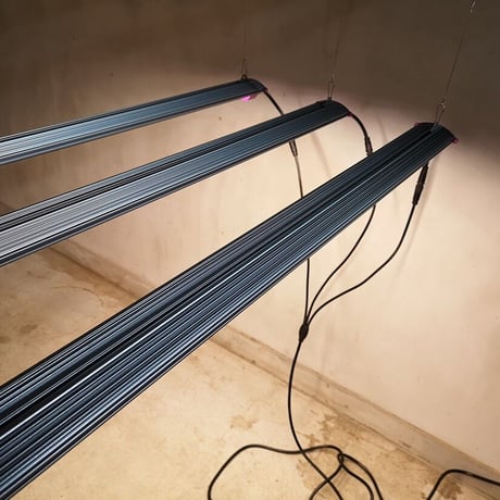 ◆ Helios Green LED シリーズ ／Helios Green LED SPESIMEN（スペシメン）