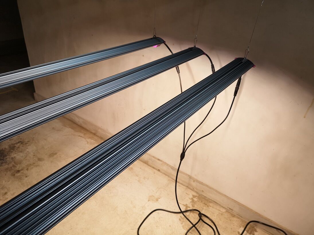 Helios Green LED スペシメン ◇ Helios Green LED シリーズ ／Helios Green LED SPESI