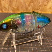 nekosogill #16 アルビノレインボー ネコソギル | phat lab on