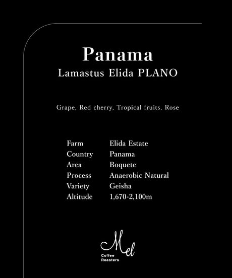 100g Panama Lamastus Elida Geisha Anaerobic Natural PLANO