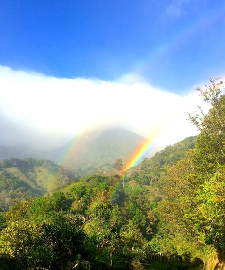 【coming soon】200g Panama Finca Deborah Geisha Nitrogen Natural Lot Nirvana