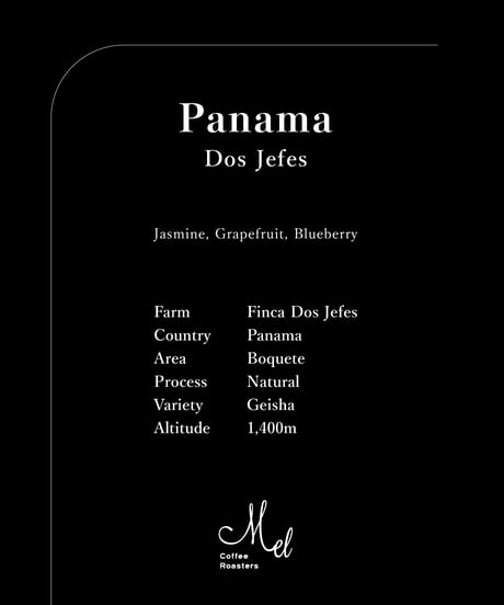100g Panama Dos Jefes Geisha Natural