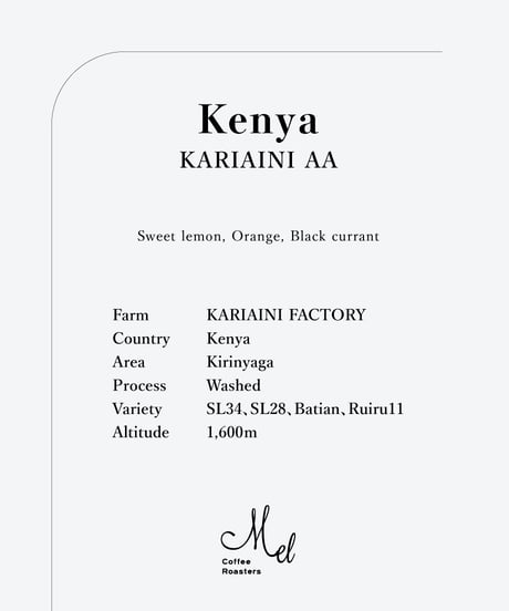 200g Kenya KARIAINI AA Washed - Light