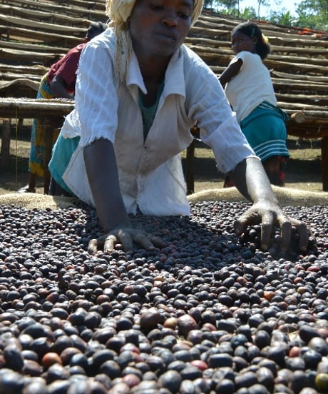 400g Ethiopia Yirgacheffe G1 Aricha Natural