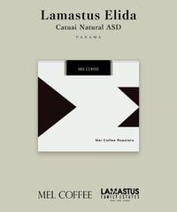 100g Panama Lamastus Elida Catuai Natural ASD