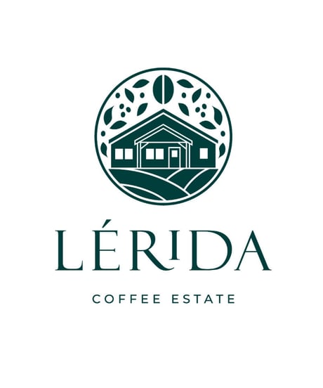 【coming soon】200g Panama Lérida Catuai Honey