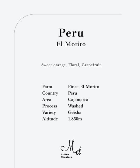 CATEGORY GEISHA | ゲイシャ種 | Mel Coffee Roasters