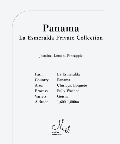 100g Panama La Esmeralda Private Collection Geisha Fully Washed