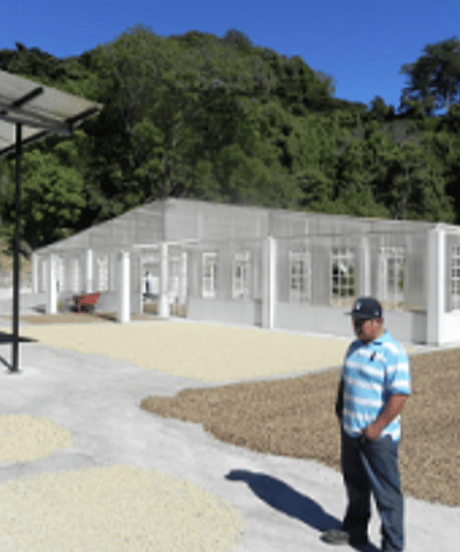 【coming soon】200g Panama Lérida Catuai Honey