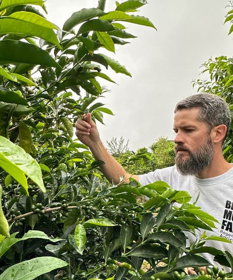 【coming soon】200g Panama Black Moon Chiroso Anaerobic Natural Lot 63