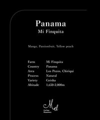 100g Panama Mi Finquita Geisha Natural