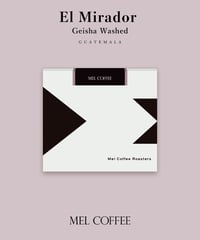 【coming soon】200g Guatemala El Mirador Geisha Washed