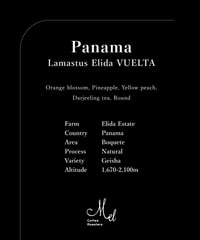 100g Panama Lamastus Elida Geisha Natural VUELTA
