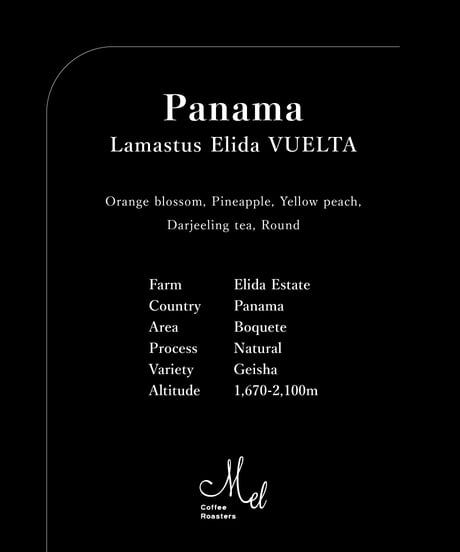 100g Panama Lamastus Elida Geisha Natural VUELTA